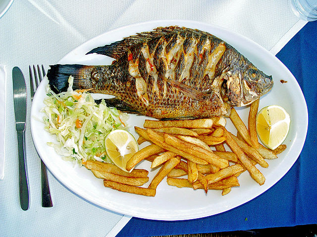 peixes